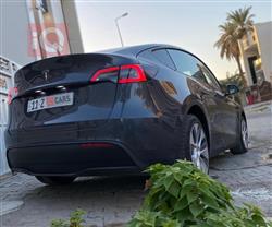 تسلا موديل Y